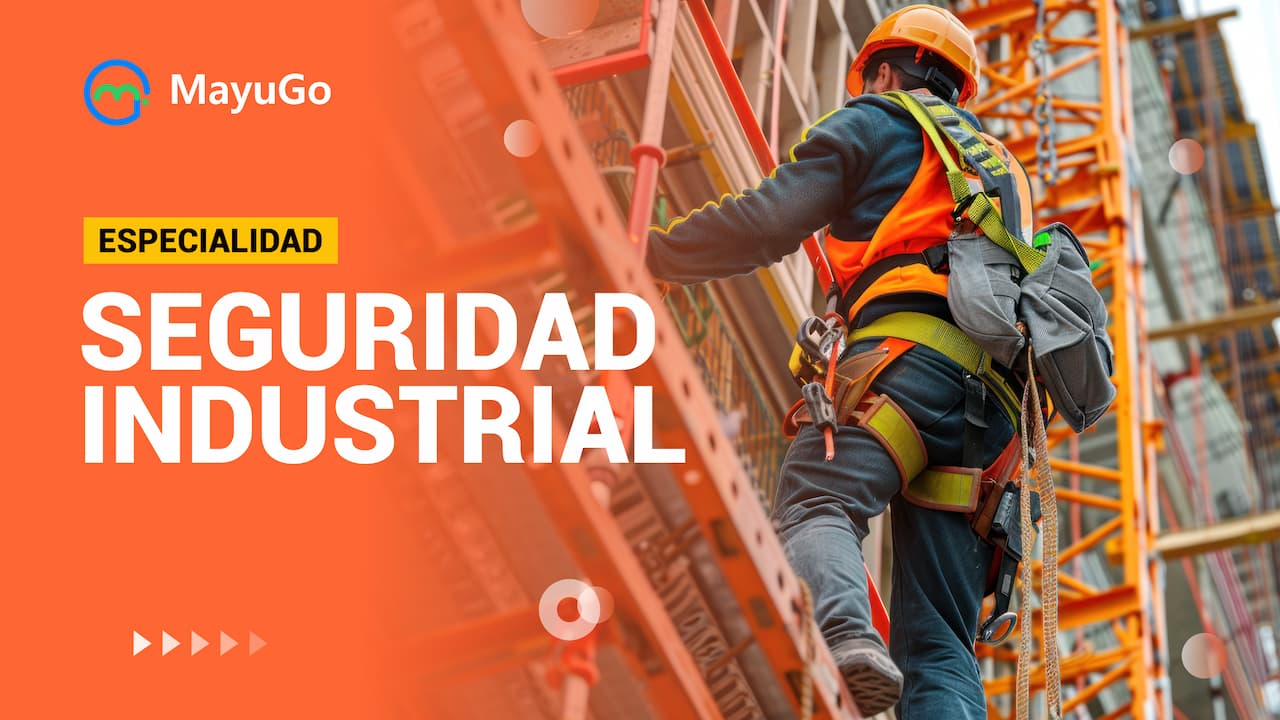 Seguridad Industrial