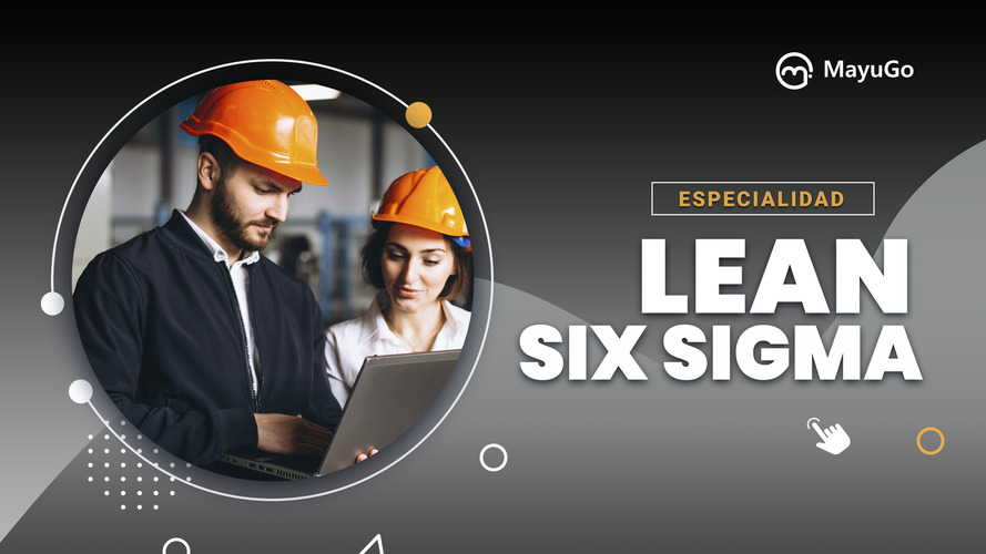 Lean Six Sigma