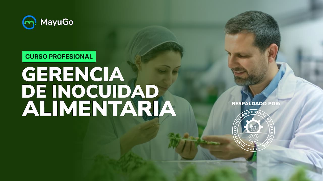 curso