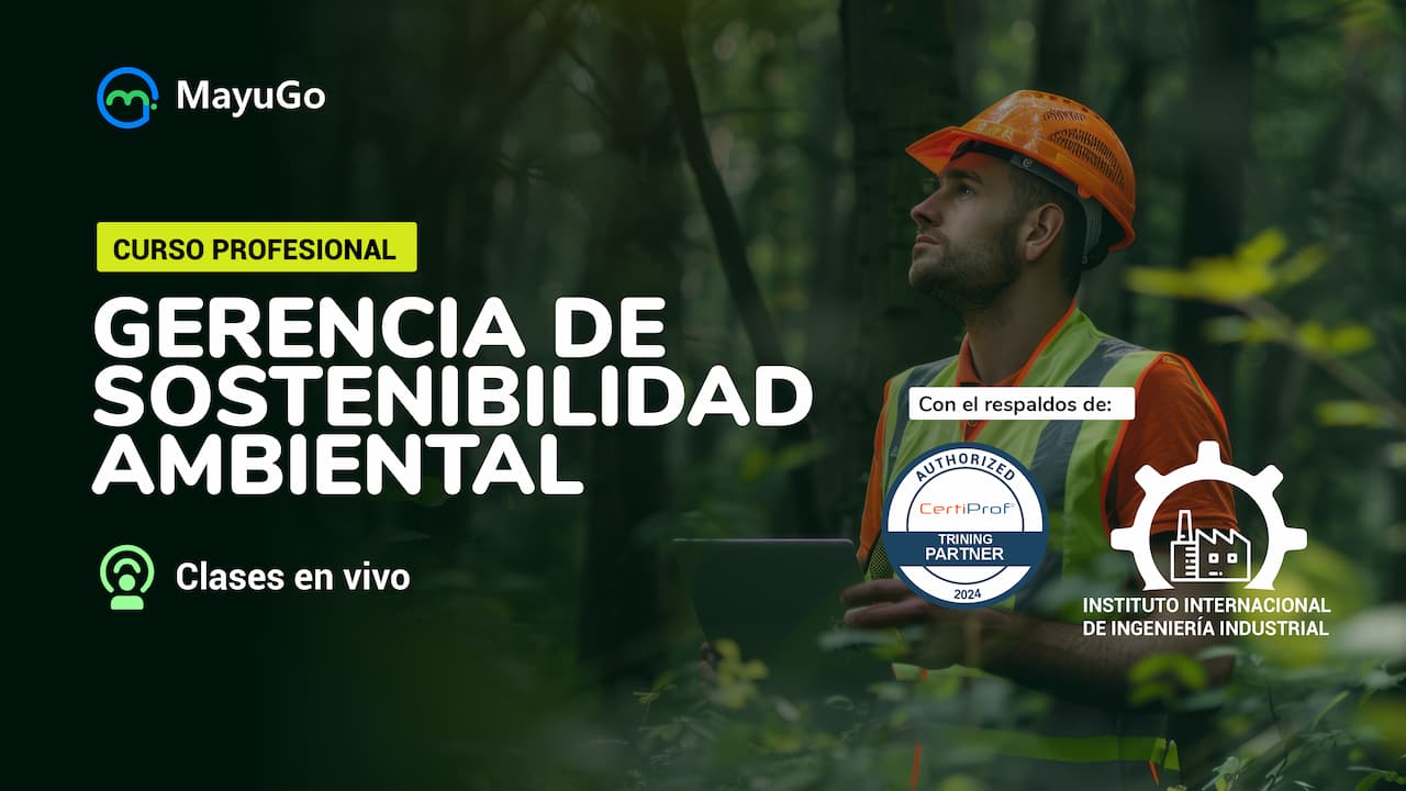 Imagen del curso