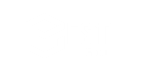 Esin Group